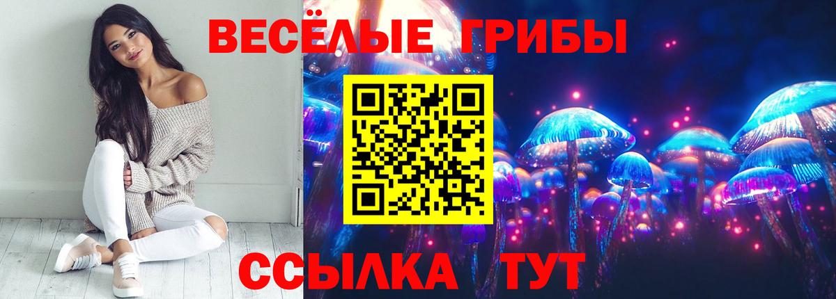 Кольчугино  Галлюциногенные грибы мухоморы  Вход с VPN 